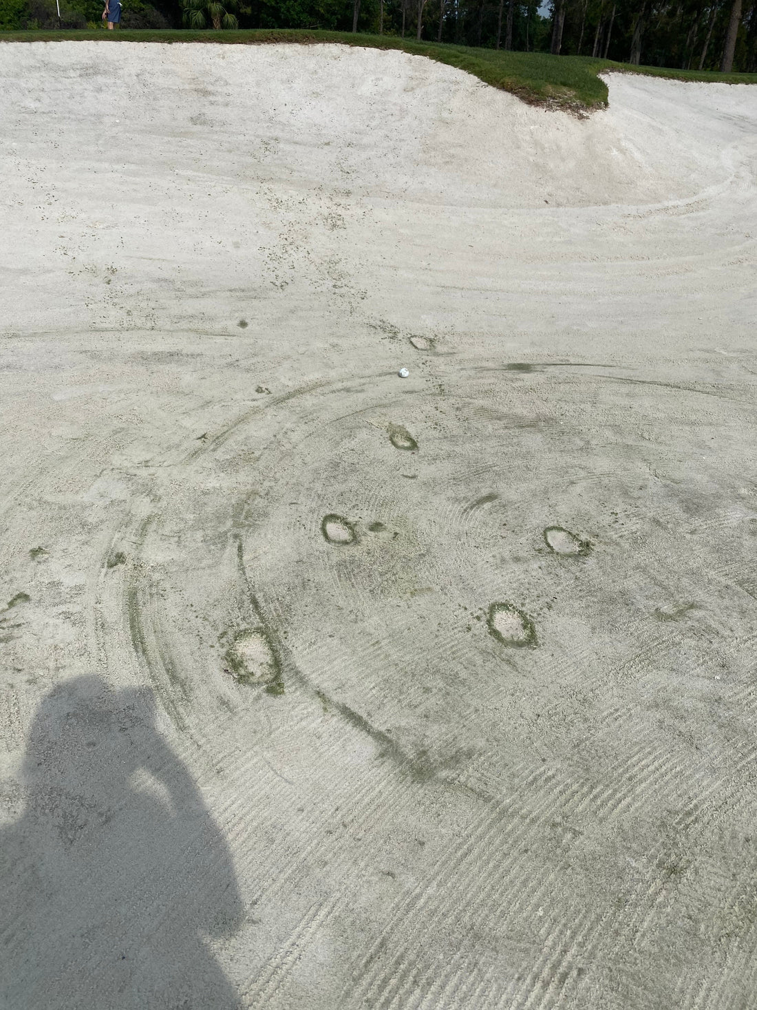 Sand Trap Basics for Beginners